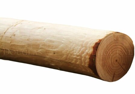 Douglas houten ronde palen geschild &amp; ongepunt | 11-12 cm Dik, 500 cm Lang