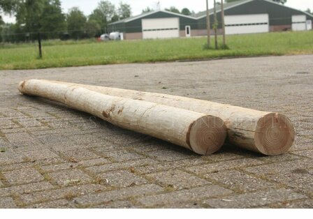 Douglas paal 11-12 lange lengte
