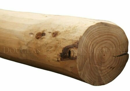 Douglas houten ronde palen geschild &amp; ongepunt | 15-17 cm Dik, 200 cm Lang