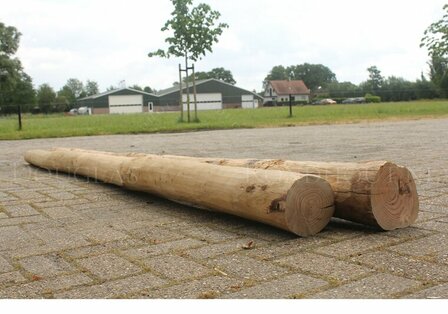 Douglas paal 15-17 lange lengte