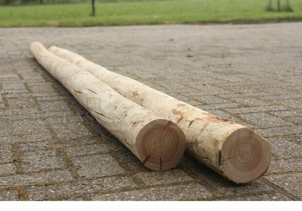 Douglas paal 9-10 lange lengte