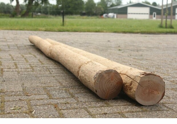 Douglas paal 13-14 lange lengte