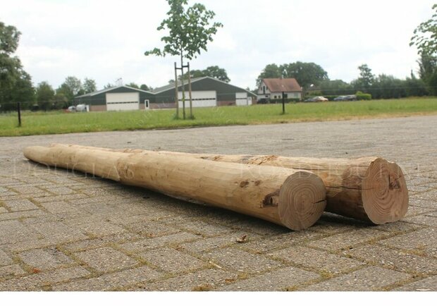 Douglas paal 15-17 lange lengte