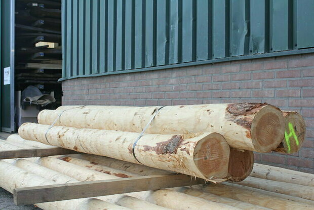 Douglas rondhout palen voorraad