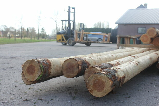 Douglas rondhout laadservice