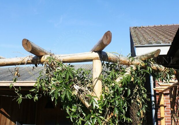 Douglas schoren prie&euml;l