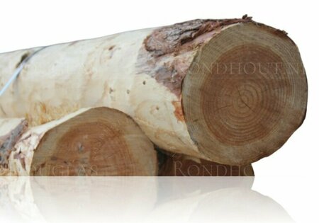 Douglas rondhout palen geschild | Diameter 20/25 cm, Lengte 250 cm.